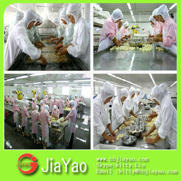 china canned food canned fruit price list