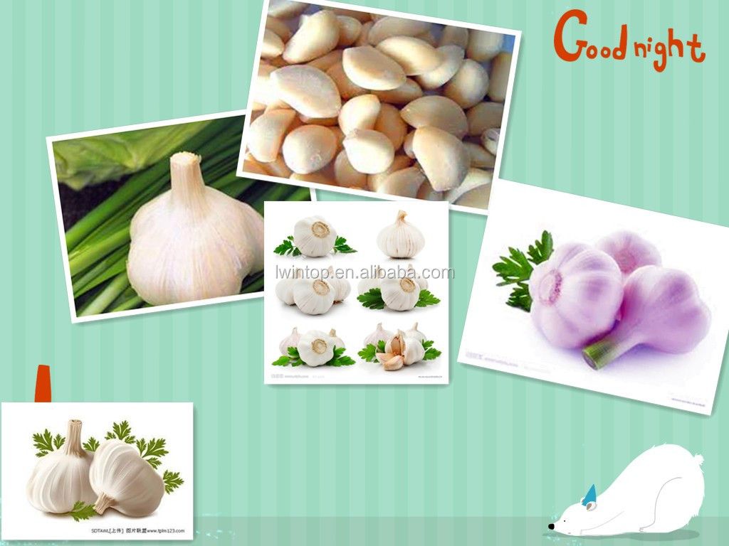 Natural Garlic peeling unpeeled fresh garlic import export wholesale