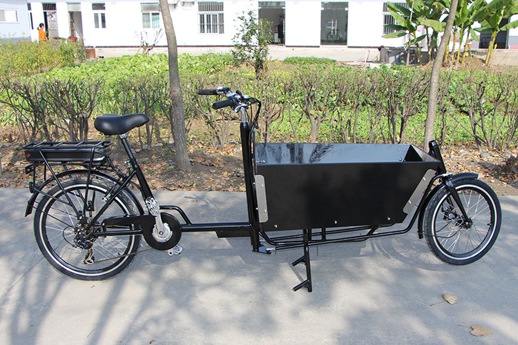 Adult Pedal Two Wheel Cheap Cargo Bike Manufacturer