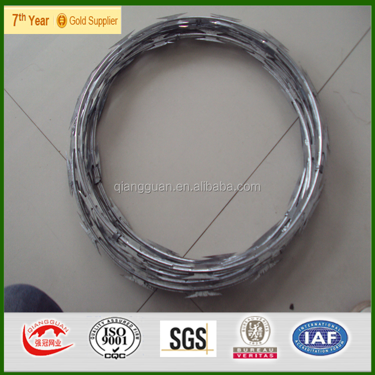 razor wire1002.jpg