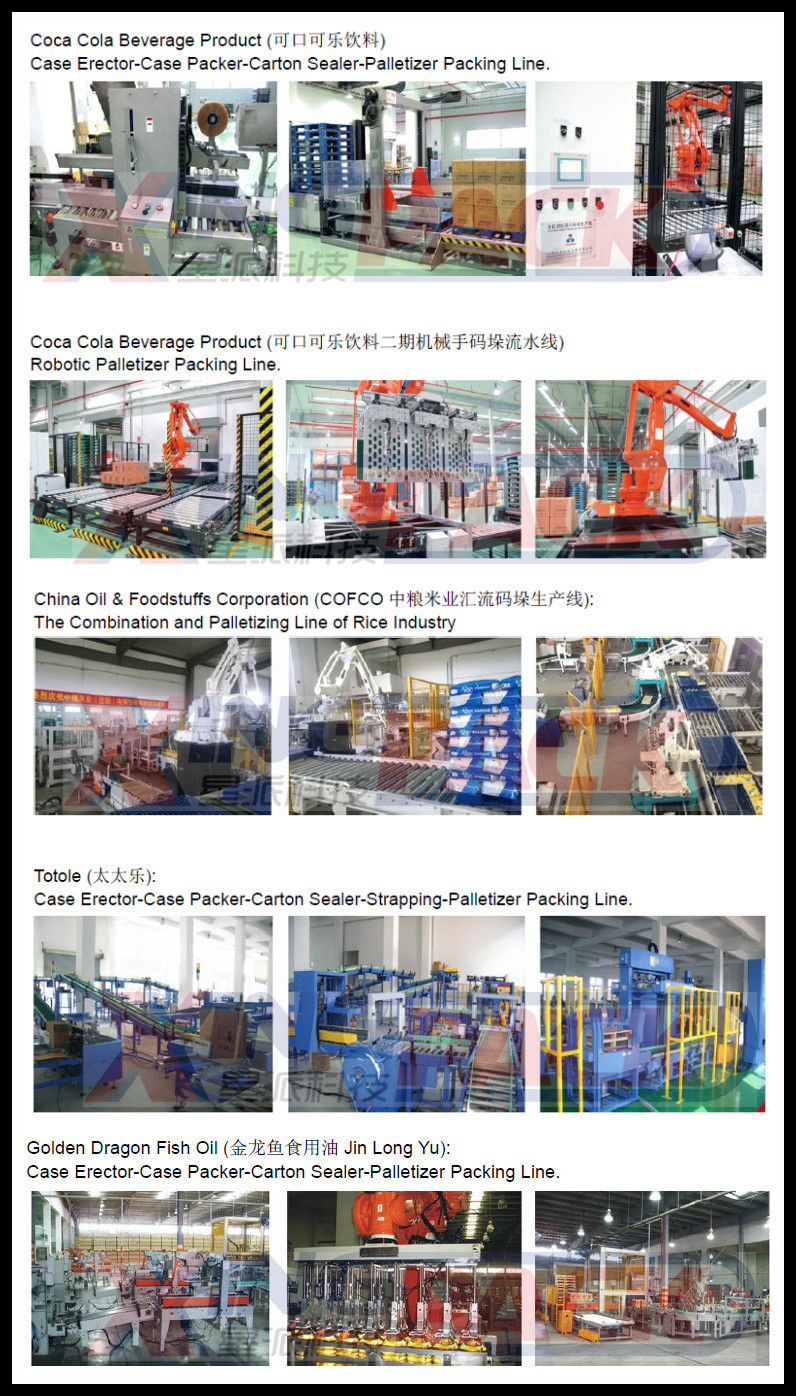 2015袋詰め製品用カートンの包装機仕入れ・メーカー・工場