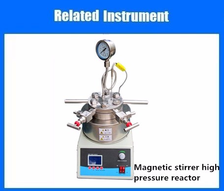 magnetic stirrer high pressure reactor