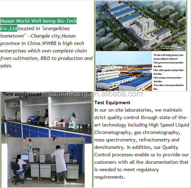 High Quality cocoa extract powder cacao theobromine/extract cacao theobromine
