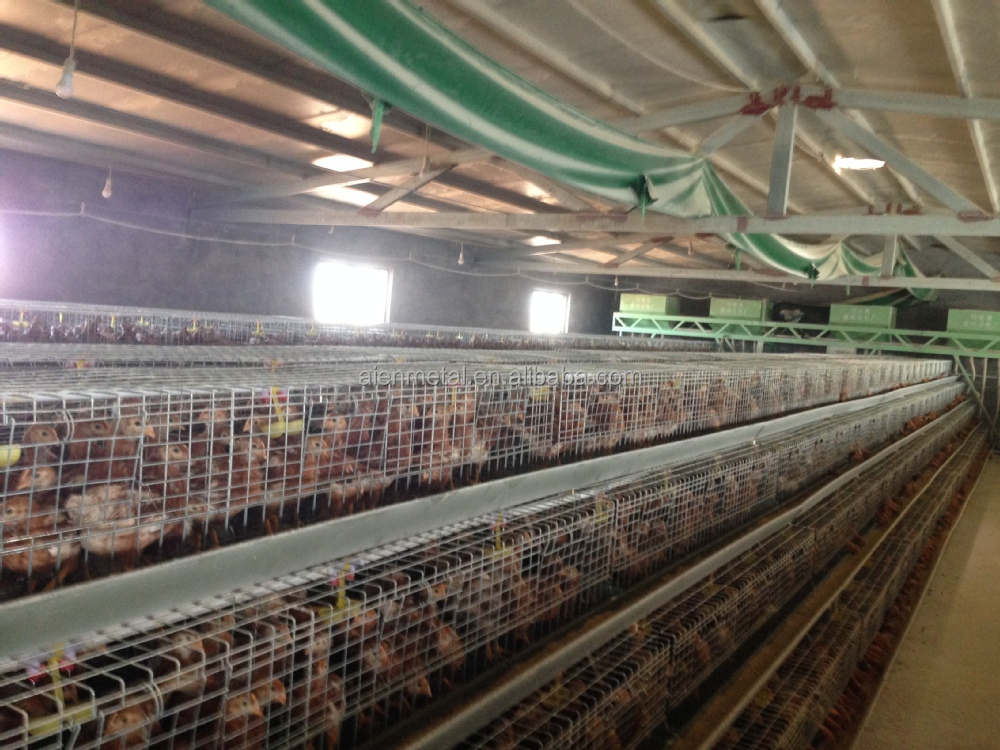 フル自動鶏の供給のための鶏の飼育仕入れ・メーカー・工場