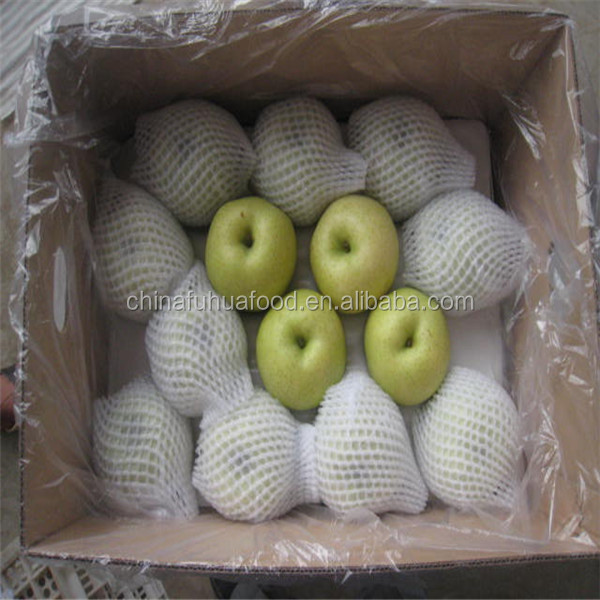 Fresh Shandong Pear 2014