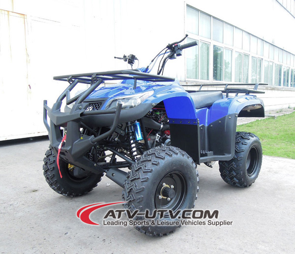2x4_250cc_utility_atv_with_electric_start_for_forest_road.jpg