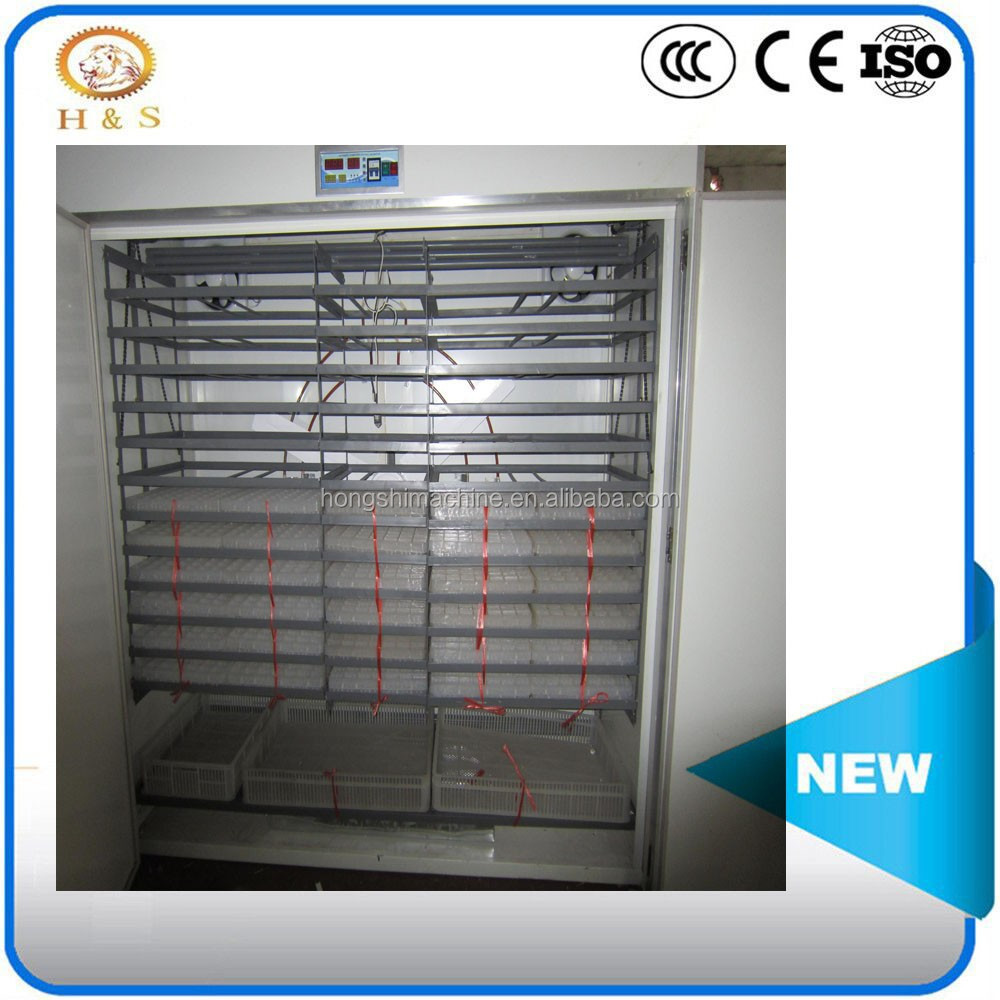 10000 chicken egg incubator