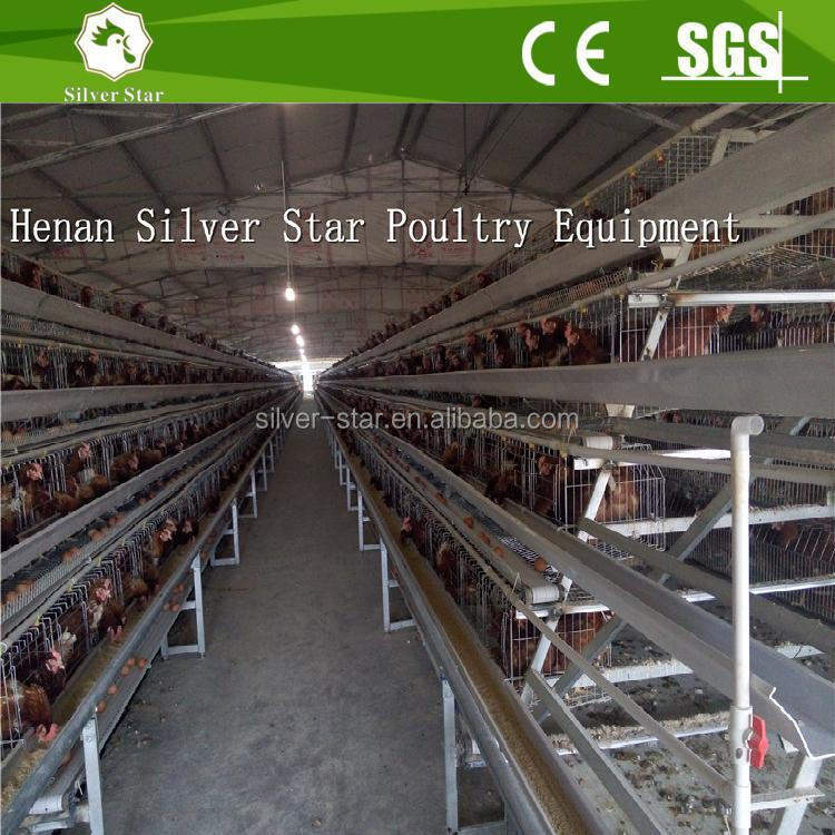 Poultry Cages/Layer Cage Design For Zimbabwe Chicken Farms