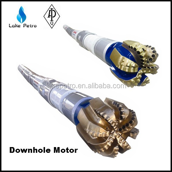 Horizontal Directional Drilling Pdm Drill/mud Motor For Sale Buy