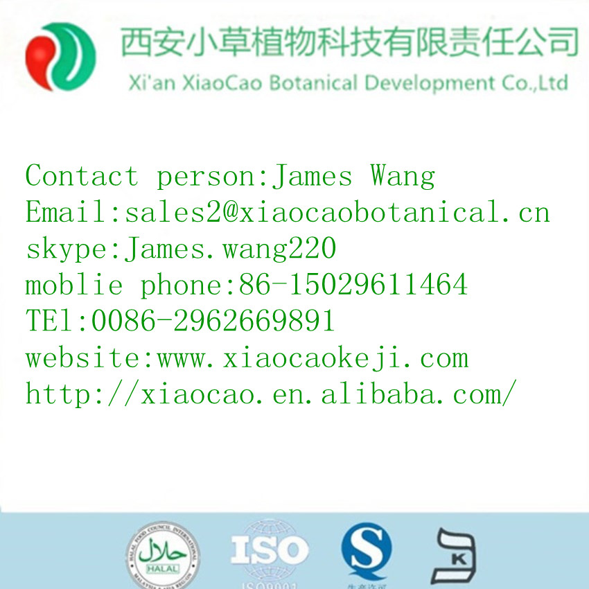 GMP pure natural Cocoa extract powder