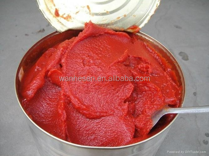 tomato paste bulk price with Brix 28-30% 30-32% 36-38%