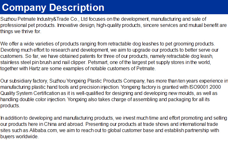 company description