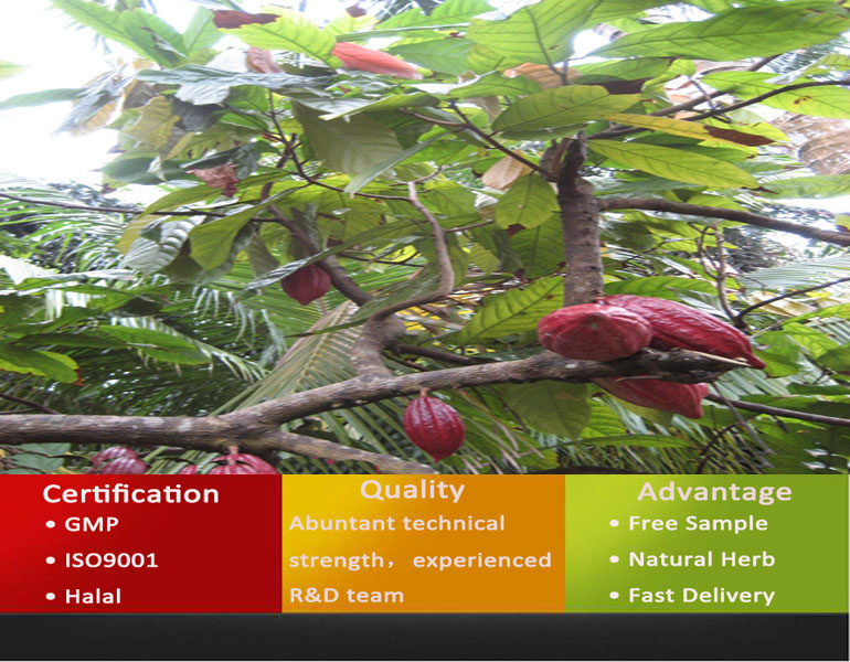Cocoa Powder/Natural Cocoa Powder/Black Cocoa Powder
