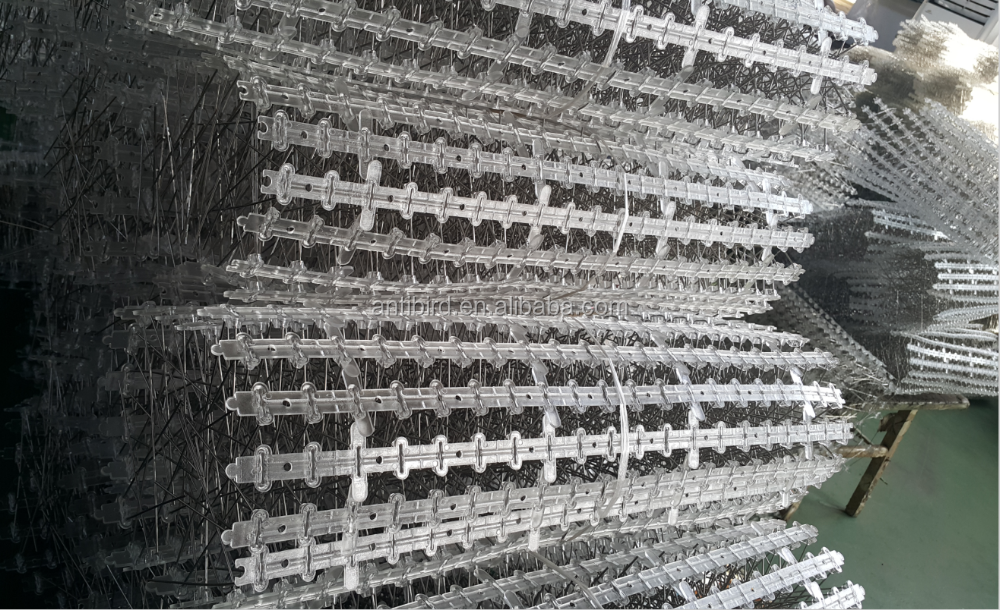 bird spikes.png