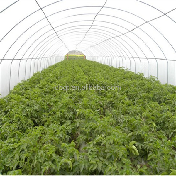 types of potatoes/new type potato product
