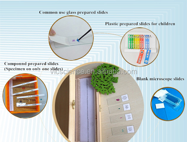 animal histology prepared slides.jpg