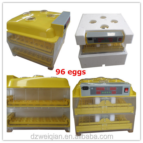 Incubator for egg rcom.jpg