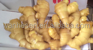 bulk fresh ginger, Chinese Ginger