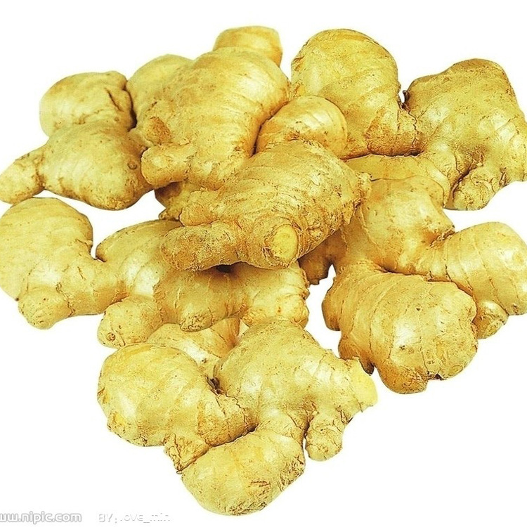 20kg Mesh Bag Package Air Dry Ginger
