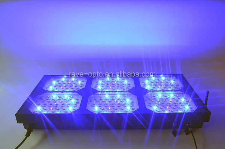 900w-1.jpg