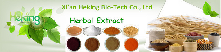 Raw Material Rutin Extract