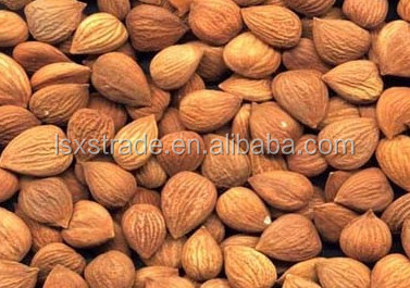 Bitter Apricot Kernel