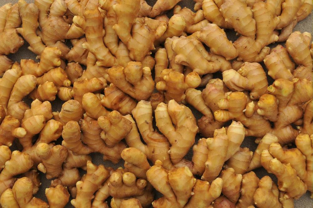 Various Specification dry ginger