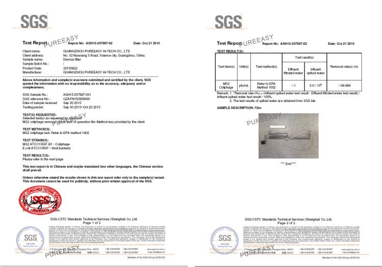 sgs report