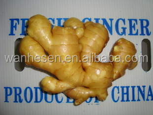 2014 High Quality New Crop Fresh ginger export For UK,CANADA,USA and EU Market 1kg fresh ginger pric