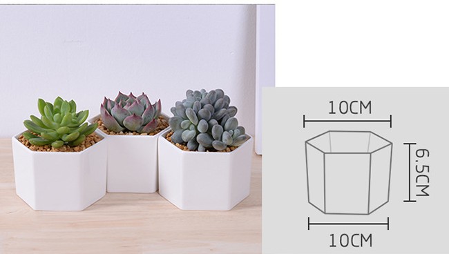 Windowsill adornment hexagon white ceramic indoor pots for succulent