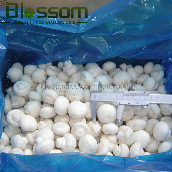 Market prices for mushrooom spawn fozen fresh champignons mushroom