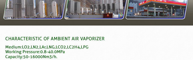 周囲の空気のための最高品質工業用ガス気化器南京エレクトロニクスプロジェクト内のパンダ問屋・仕入れ・卸・卸売り