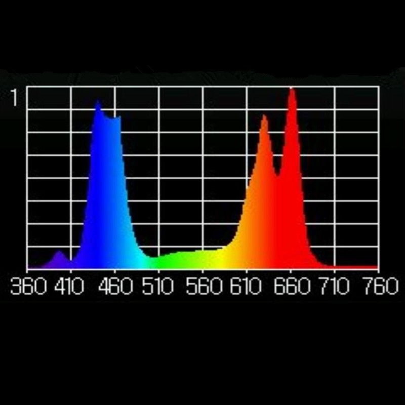 スーパー パワー 900 ワット cob led成長ライト フル スペクトラム仕入れ・メーカー・工場