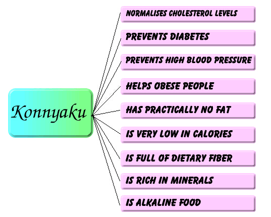 instant noodles instant konjac shirataki
