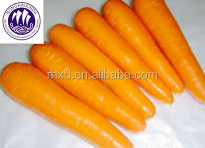 exporting all sizes carrots