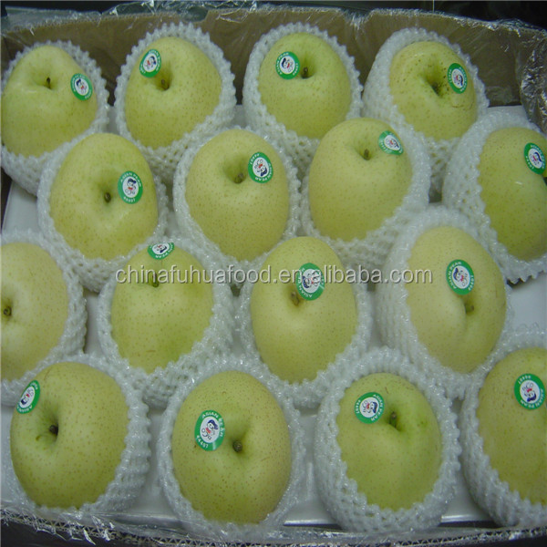 New Crop Pear Fresh