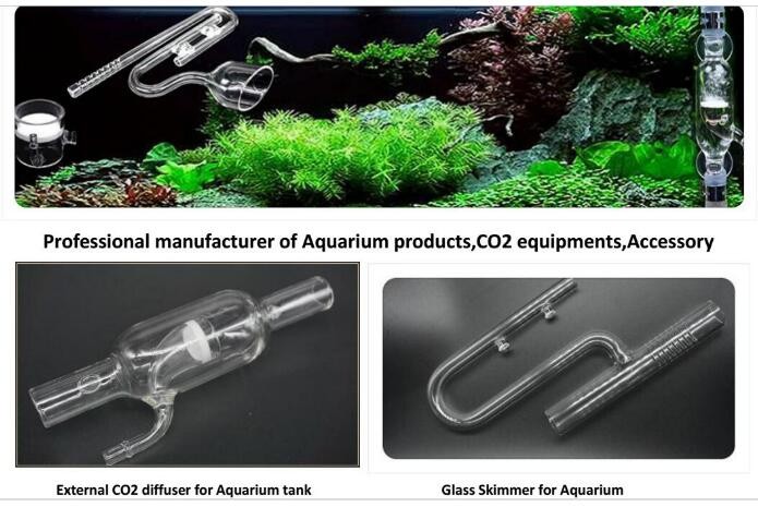 工場直接高品質ステンレス鋼co2ディフューザーのための水生植物仕入れ・メーカー・工場