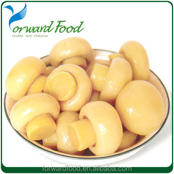High quality canned button mushroom