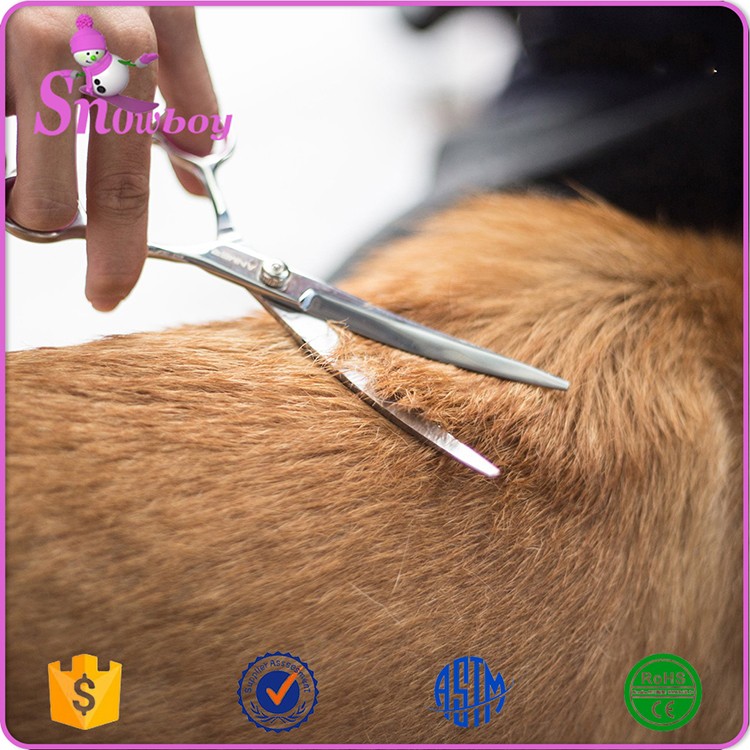 Pet Grooming Scissors Set (3).jpg