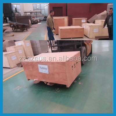 CE certificated garlic processing machines/garlic peeling machine/garlic powder equipment
