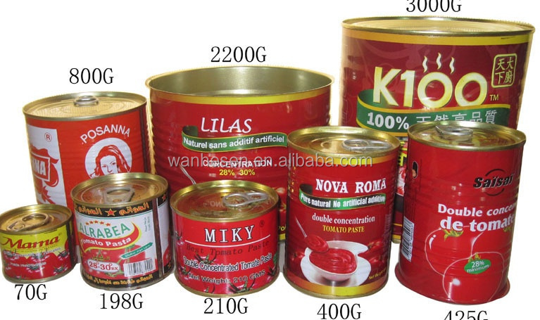 3000g tomato paste processing line