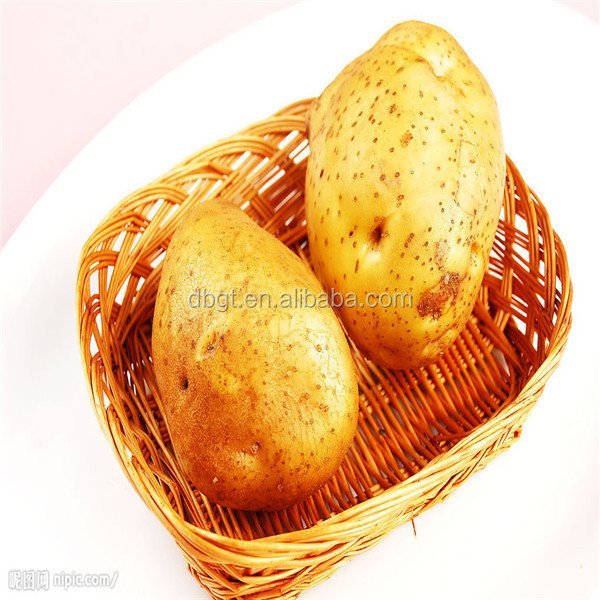 2014 From the northwest of pollution-free high-quality potato in China