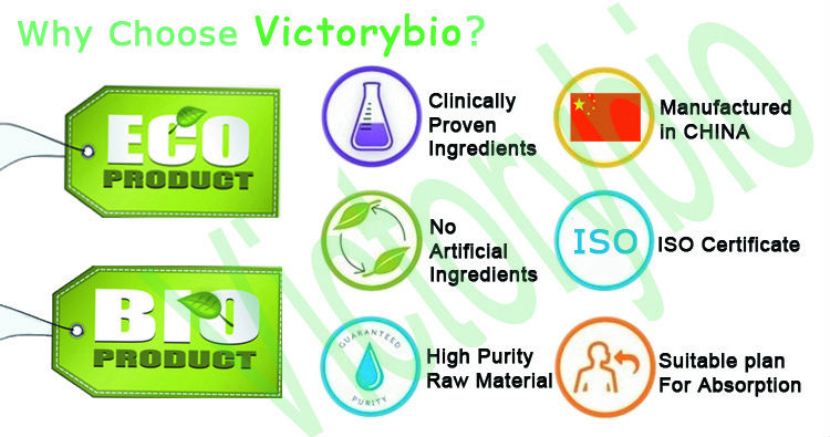 ISO certificated cocoa seed extract powder