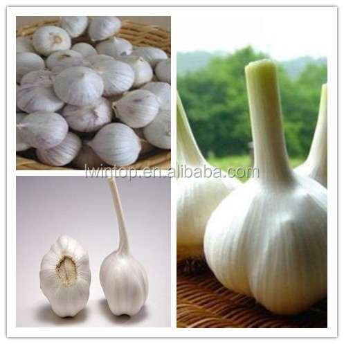2014 Wholesale Garlic Price - The Best Seller in China