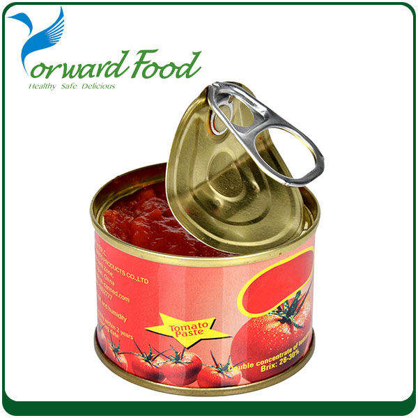 can food tin tomato paste