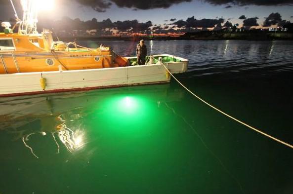 Led釣り灯- 白緑8w千ワットに青のrgbled水中集魚灯問屋・仕入れ・卸・卸売り