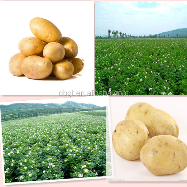 Specifications complete quality potatoes