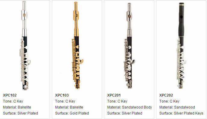 47+ Flute Piccolo Woodwind Instruments Pics