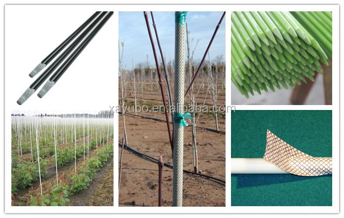 plant stakes201504.jpg