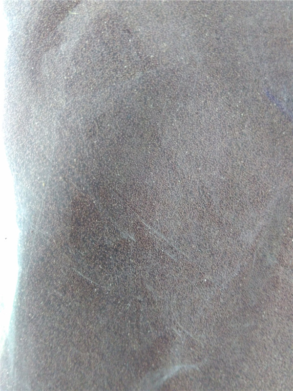 hatching shrimp egg02